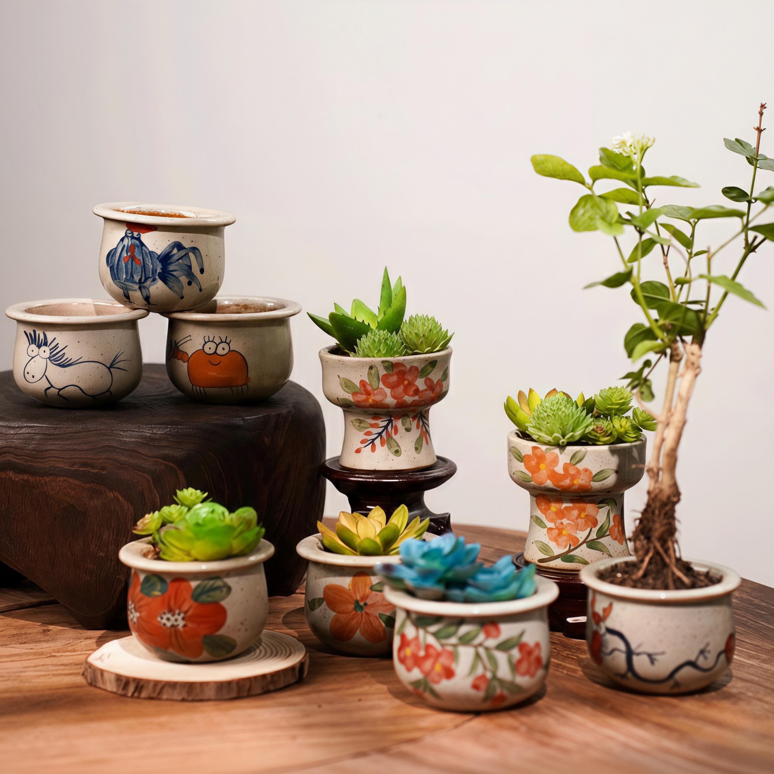 Handmade Ceramic Succulent Pot | Wheel-Thrown Mini Planter