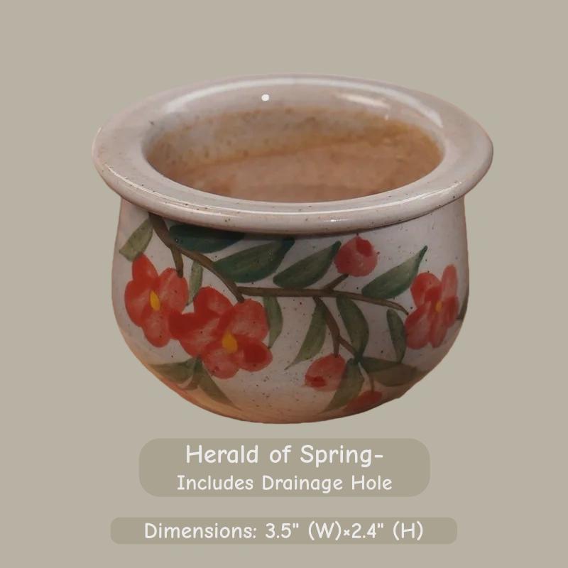 Handmade Ceramic Succulent Pot | Wheel-Thrown Mini Planter