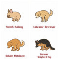 Funny Pooping Dog Magnet | Acrylic Refrigerator Magnet with Backing Card